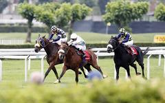 PRONOSTIC PRIX DU BEL AIR QUINTÉ PMU 15-05-2025