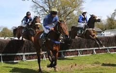 PRONOSTIC QUINTÉ PRIX LE PARISIEN 17-05-2025