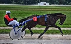 PRONOSTIC PRIX ADALBERTA QUINTÉ+ PMU 06-06-2025