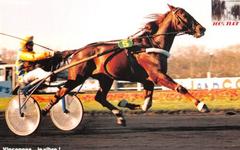 PRONOSTIC QUINTÉ PRIX ADALBERTA 06-06-2025