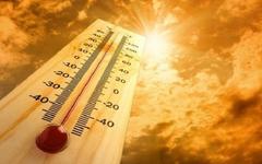 Vague de chaleur sur plusieurs wilayas