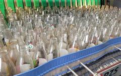 Retour de la consigne : près de Nantes, le fabuleux destin de Bout’ à Bout’, l’usine qui redonne vie aux bouteilles en verre