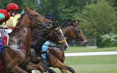 QUINTÉ PRIX FORET DE CHANTILLY PRONOSTIC 24-06-2025