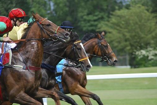 QUINTÉ PRIX FORET DE CHANTILLY PRONOSTIC 24-06-2025