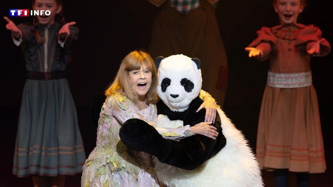 "Ça me fait beaucoup de peine" : Chantal Goya, déterminée à retrouver la tête de son Pandi Panda, porte plainte pour vol