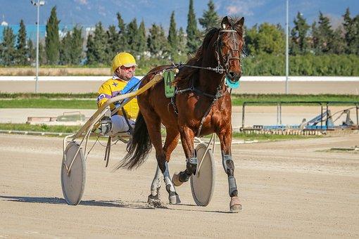 QUINTÉ PRIX DE ROMAINVILLE PRONOSTIC PMU 12-07-2025