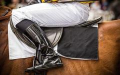 La Dernière Minute de Studio 6.1 pour le Quinté du jour par Axel