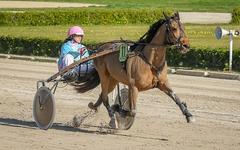 QUINTÉ PRIX D’ARGENTAN PRONOSTIC PMU 22-08-2025