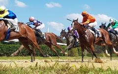 PRONOSTIC QUINTÉ PRIX FORET DE LYONS 20-10-2025