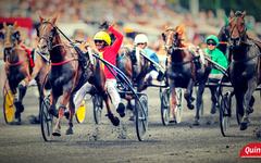 Pronostic Quinté du Mercredi 17/12/25. Base en Or et Belles Cotes dans le Quinté du Jour