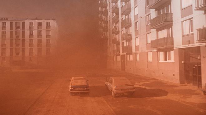 Ruben Impens, chef opérateur sur « Alpha » de Julia Ducournau