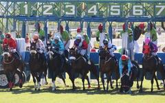 PRONOSTIC QUINTÉ PRIX DUNETTE 19-03-2026