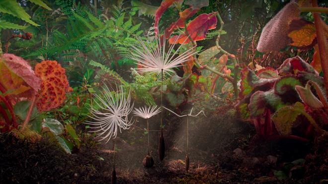 Dans le laboratoire cinématographique de « Planètes » de Momoko Seto