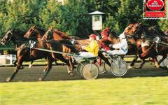 PRIX DE SENLIS QUINTE PMU 15-02-2021