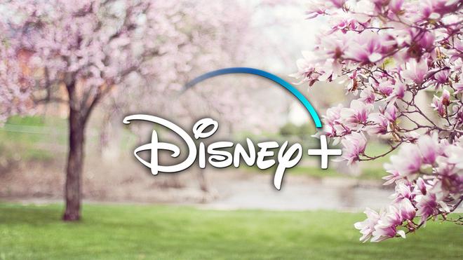 Disney+ : les nouveautés disponibles de la semaine du 16 avril 2021