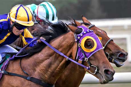 Jeudi 20 mai 2021 - Quinté à ParisLongchamp /Autres courses