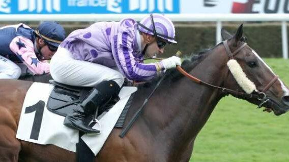 Quinté. Le Prix de l’Orangerie à Paris Longchamp ce dimanche 30 mai 2021.