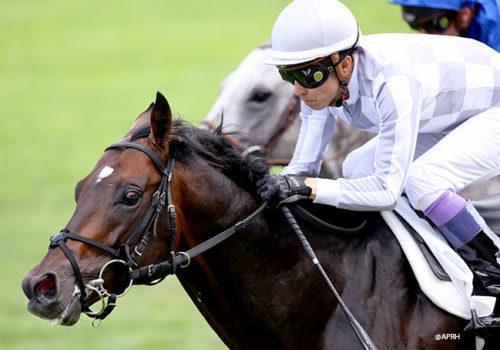 Jeudi 27 mai 2021 - Quinté à ParisLongchamp/Autres courses