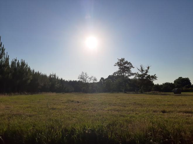 Les prévisions de Météo France : grand soleil et grosses chaleur en Sud-Gironde pour lundi